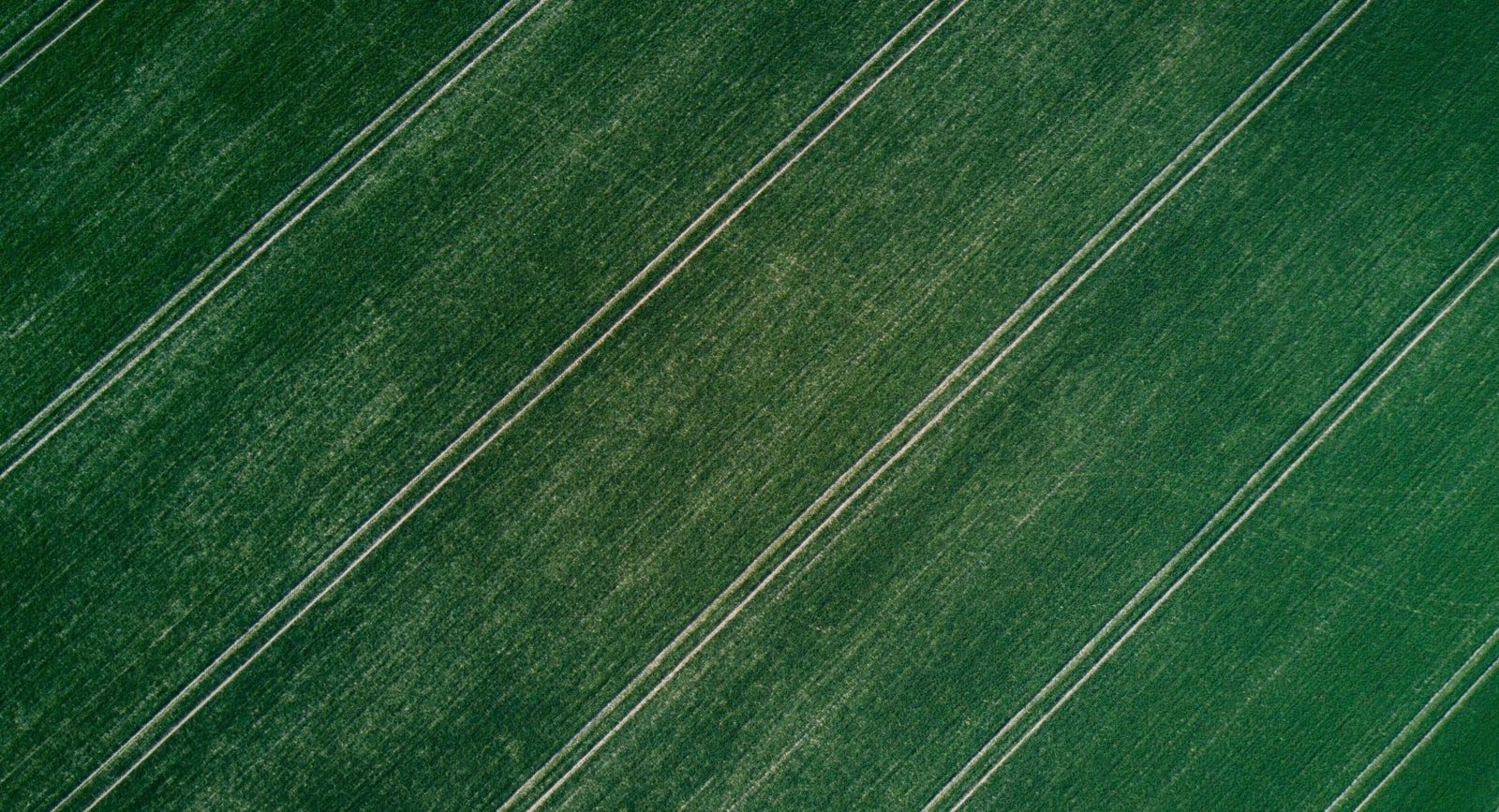 Research and Advisory